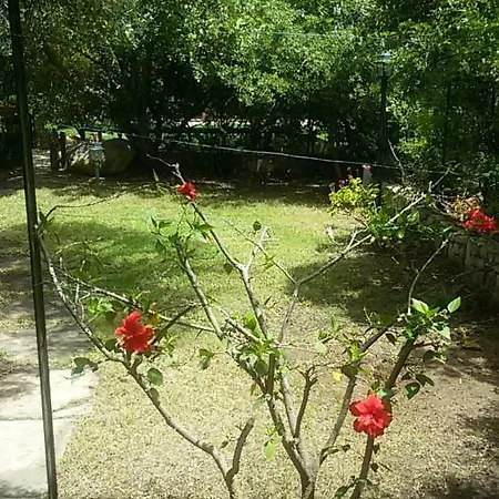 Villetta Lavinia Holiday home *