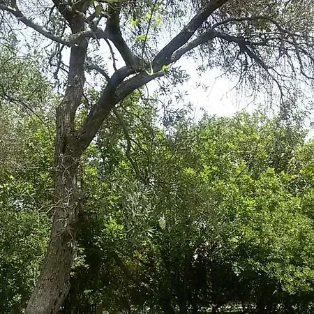 Holiday home Villetta Lavinia